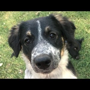 Meet your Posher, Irene